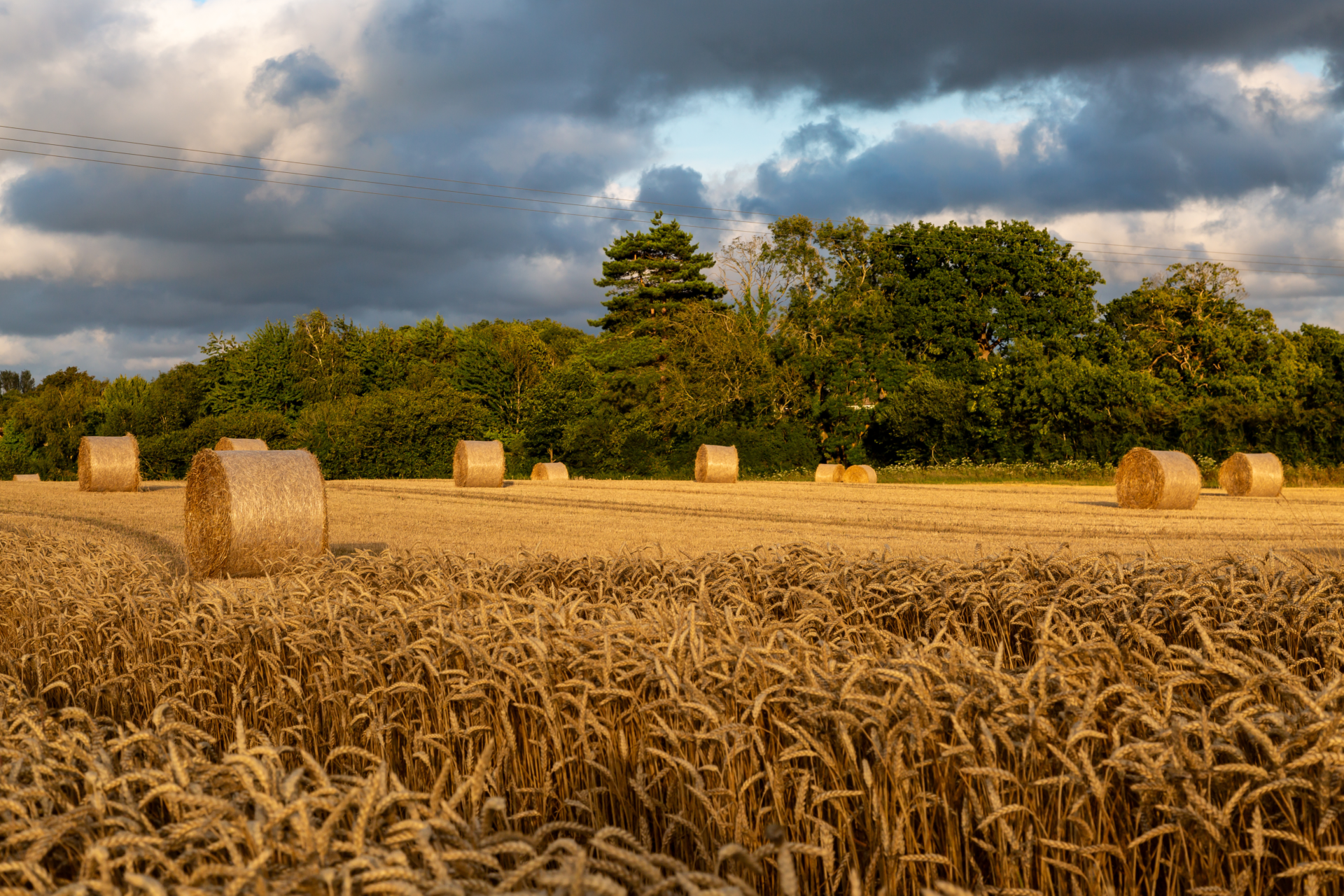 Adobe Stock 843905246