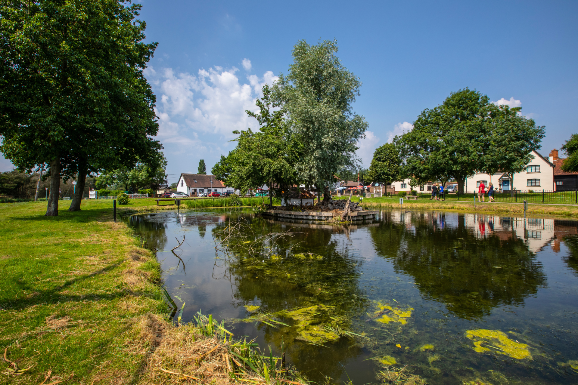 Adobe Stock 448106794