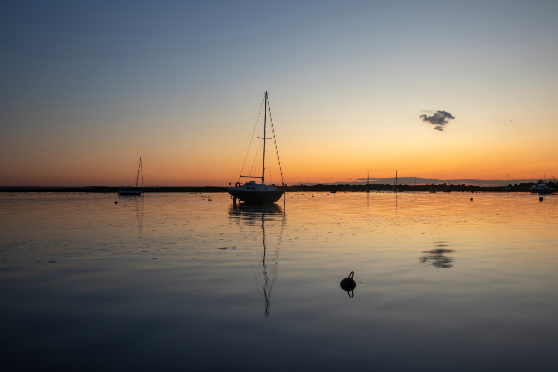 Adobe Stock 408653071