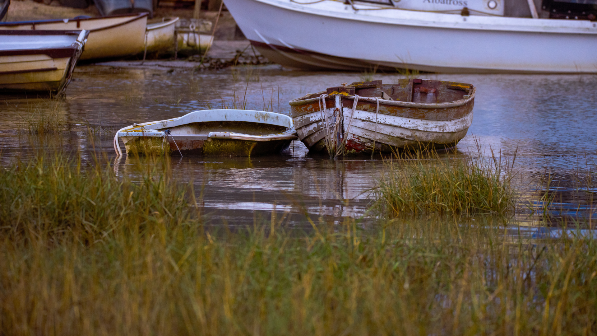 Adobe Stock 1150796853