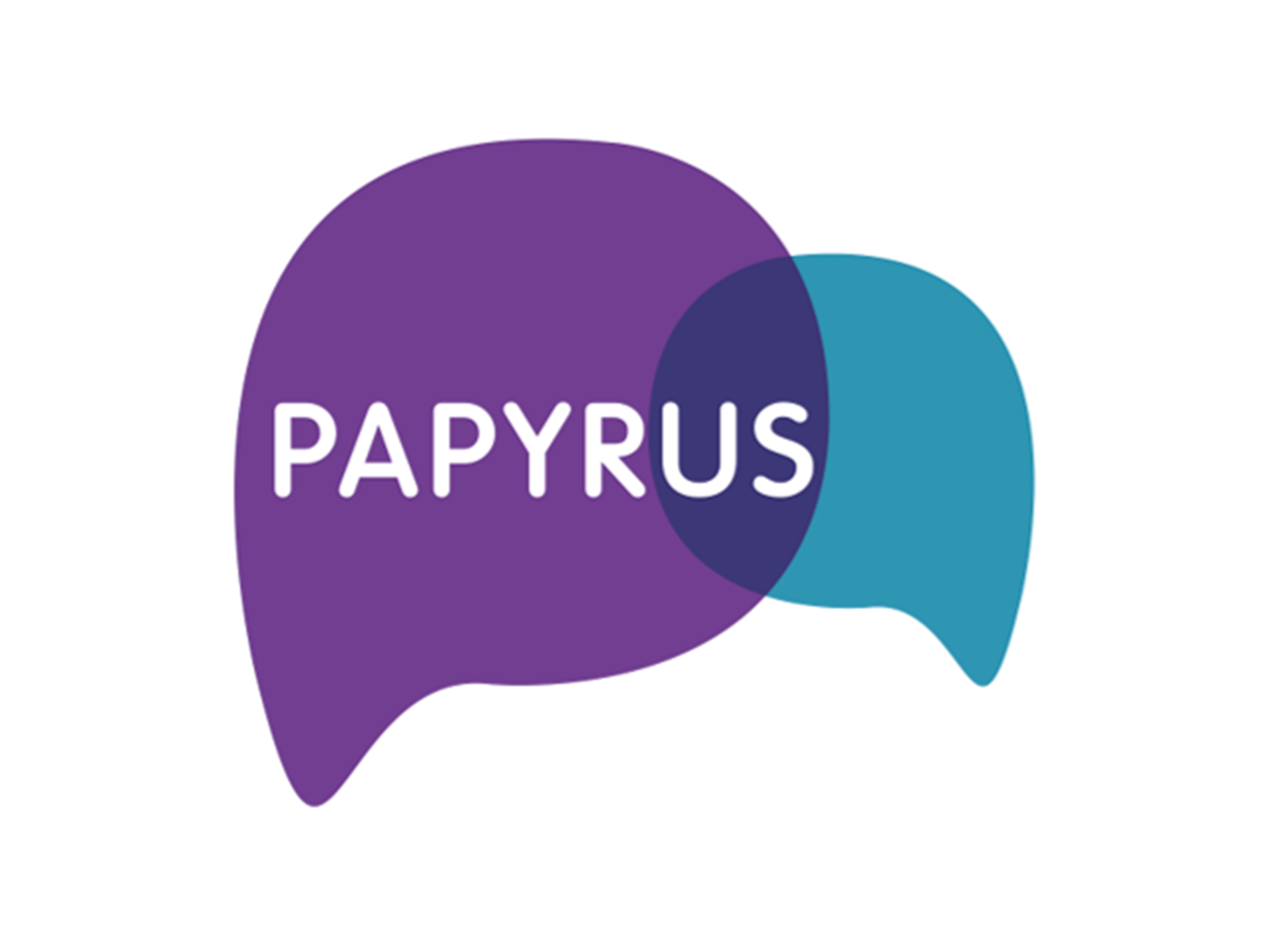Papyrus Photo